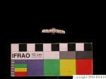 L_V23d1165 J1q388.1 Ux03 dM f151